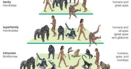 Evolution complete