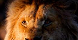Mufasa (Lion King)