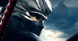 Ninja Gaiden Sigma 2 ニンジャガイデン シグマ - Video Game