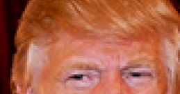 Donald Trump : Rosie O'Donnell
