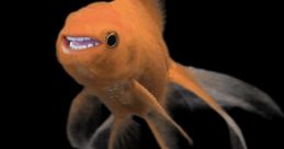 Hecklefish