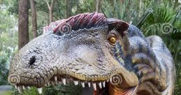 Allosaurus dinosaur Allosaurus