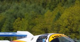 Race car Eletech