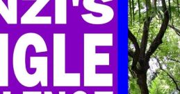 Alex Paras (Bonzi's Jungle Challenge)