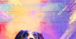 Rainbow Puppy
