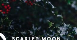 Scarlet Moon Christmas Volume III Scarlet Moon Christmas, Vol. III - Video Game