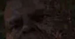 Devy