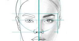 Basic Face Class