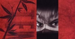 Tenchu 3: Wrath of Heaven - Video Game