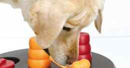 Dog Toy