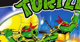 Teenage Mutant Ninja Turtles (NES) - Video Game