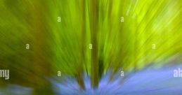 Zooming-By