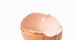 Eggshell
