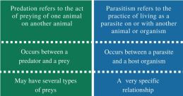 Predation