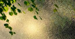 Pluie