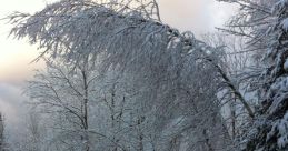 Frigid The first that resonates in the frigid air is the Ice Laser Beam, a powerful and piercing noise that cuts through