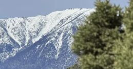 American (United States) Nevada, Gardnerville, Male 19yo