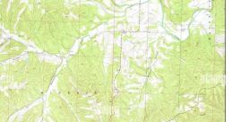 American (United States) Missouri, Cassville-Shell Knob Female 20yo
