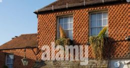 English (United Kingdom) Surrey, Cranleigh and Richmond area Female 62yo