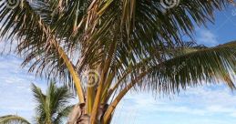 Australian (Australia) Western Australia, Carnarvon, Thornlie Male 53yo