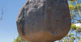 Australian (Australia) Western Australia, Mount Barker Male 60yo