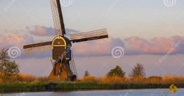 Dutch (Netherlands) - Nieuwpoort, Strien (Southern California) Male 38yo