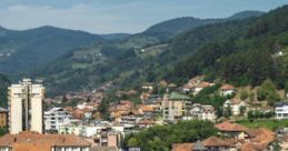 Montenegrin (Montenegro) Podgorica, Bijelo Polje Male 32yo