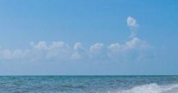 American (United States) Virginia, Tangier Island, Male 61yo