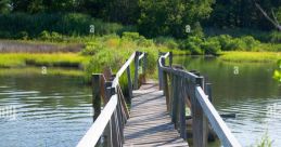 American (United States) Virginia, Tangier Island Male 58yo