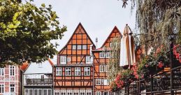 German (Germany) Lüneburg, Kiel Female 28yo