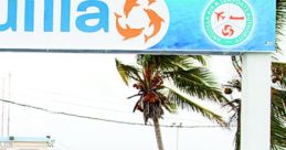 Anguillian (Anguilla) Blowing Point, Business Owner Male 32yo