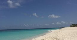 Anguillan (Anguilla) Shoal Bay, Island Harbour Female 41yo