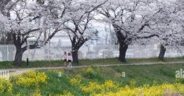 Japanese (Japan) Aichi, Toyokawa, English Teacher Female 31yo