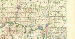 American (United States) Michigan, Rives Junction and Leslie Male 41yo
