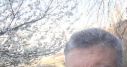 American (United States) Massachusetts, Boston Male 70yo