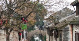 Chinese (China) Jiangsu, Zhouzhuang Male, 21yo