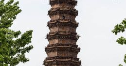 Chinese (China) Henan, Kaifeng Male 21yo