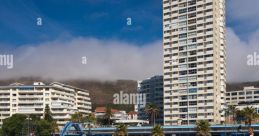 South African (South Africa) Western Cape, Cape Town, Grassy Park Homemaker Female 37yo