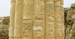Egyptian (Egypt) State, Cairo Heliopolis Male 22yo