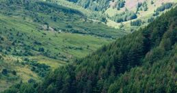 Welsh (United Kingdom) Rhondda Cynon Taff, South Wales Male 20yo
