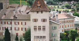 Swiss (Switzerland) Graubünden, Chur Male 16yo