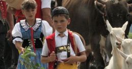 Swiss (Switzerland) Basel, Male 16yo