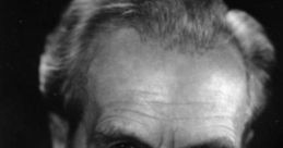 German (Germany) Professor, Kiel, Literature Male 70yo