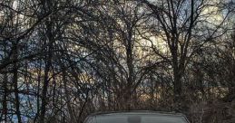 Srt The revving of the engine echoed through the empty streets, a low, menacing growl that sent shivers down the spines of
