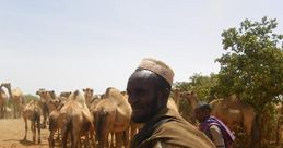 Pastoralism