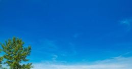Drava