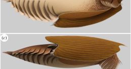 Cambrian (Ranging From Formal to Geordie and Everything in Between) Type your text to hear it in the voice of Cambrian.