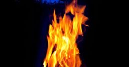 Todd Eflin (Strong, Captivating, and Positive, Akin to the Morning Campfire Coffee Experience) Type your text to hear it