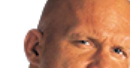 Stone Cold Steve Austin