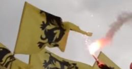 Vlaams